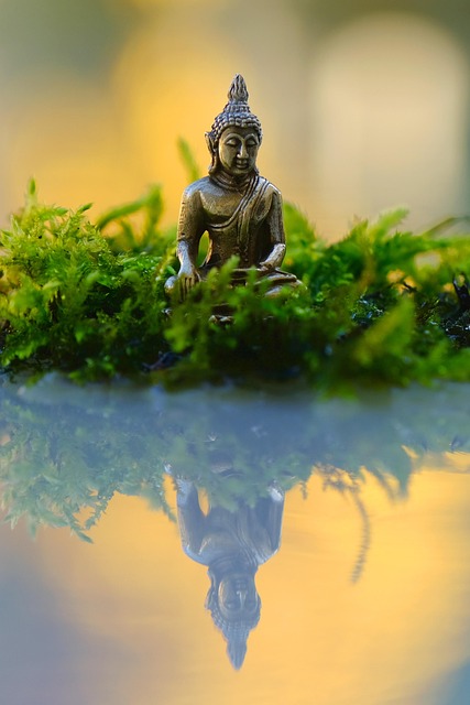 ge9b6df9c4160948cc61baca777af1865bcba545c24b9c39277cff0170822c77ac5abe638a80474129d5bad88a5d9feda_640-6602053 statue, buddha, buddhism, religion, buddha purnima, faith, culture, budha